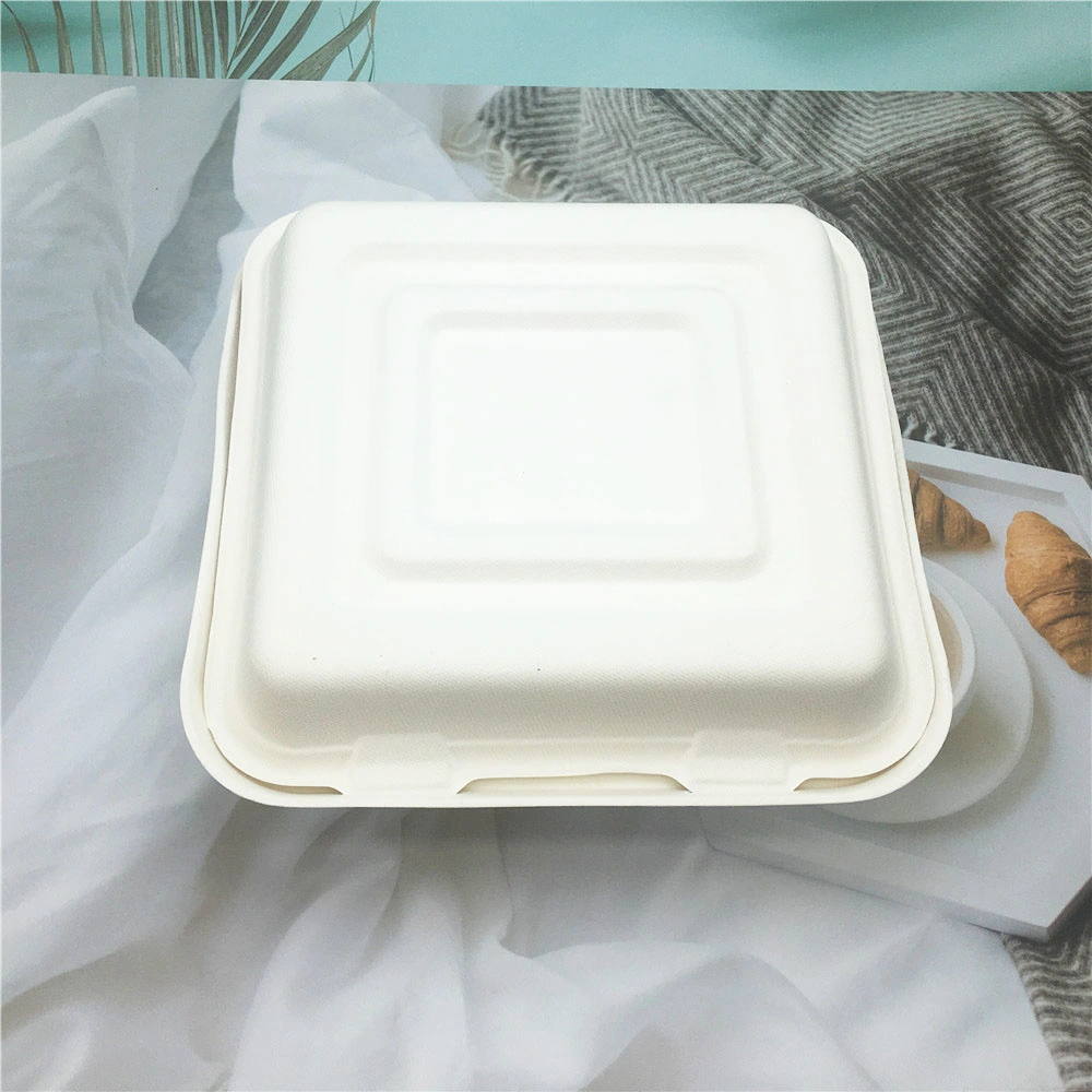 Sugarcane Bagasse Fast Food Container Box